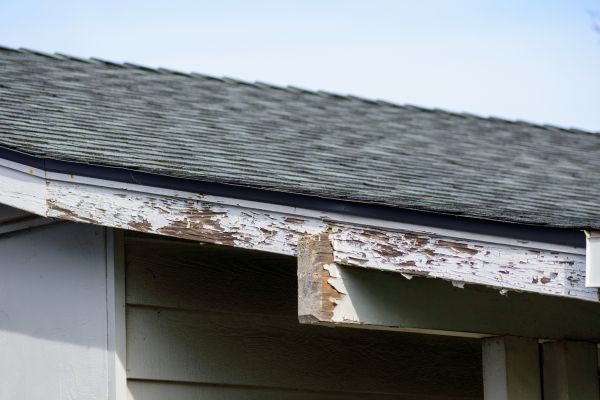 Warrenton Wood Rot Repair