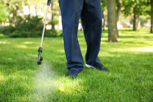 Warrenton Lawn Treatment