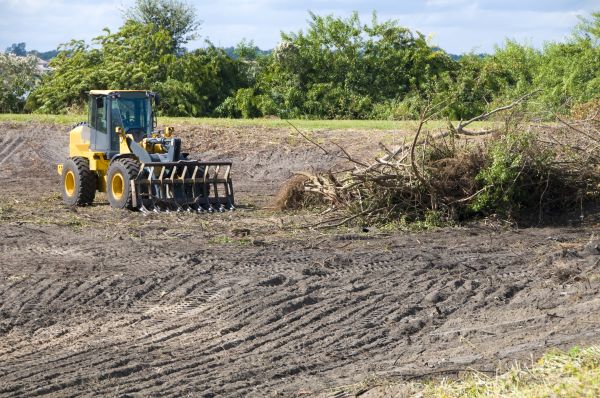 Warrenton Land Clearing