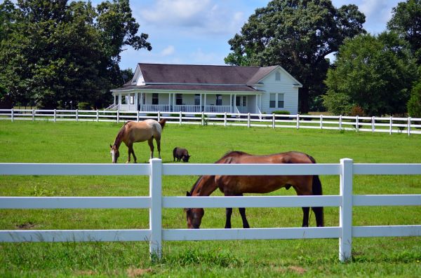 Warrenton Fence Service